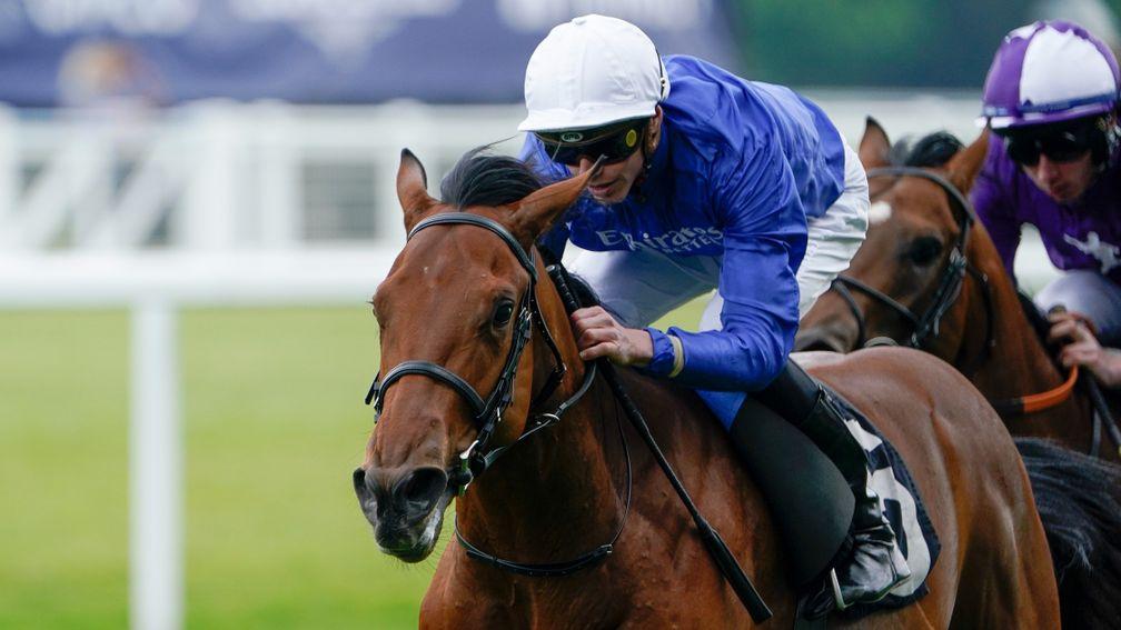 Noble Style: backed for glory in the Qipco 2,000 Guineas