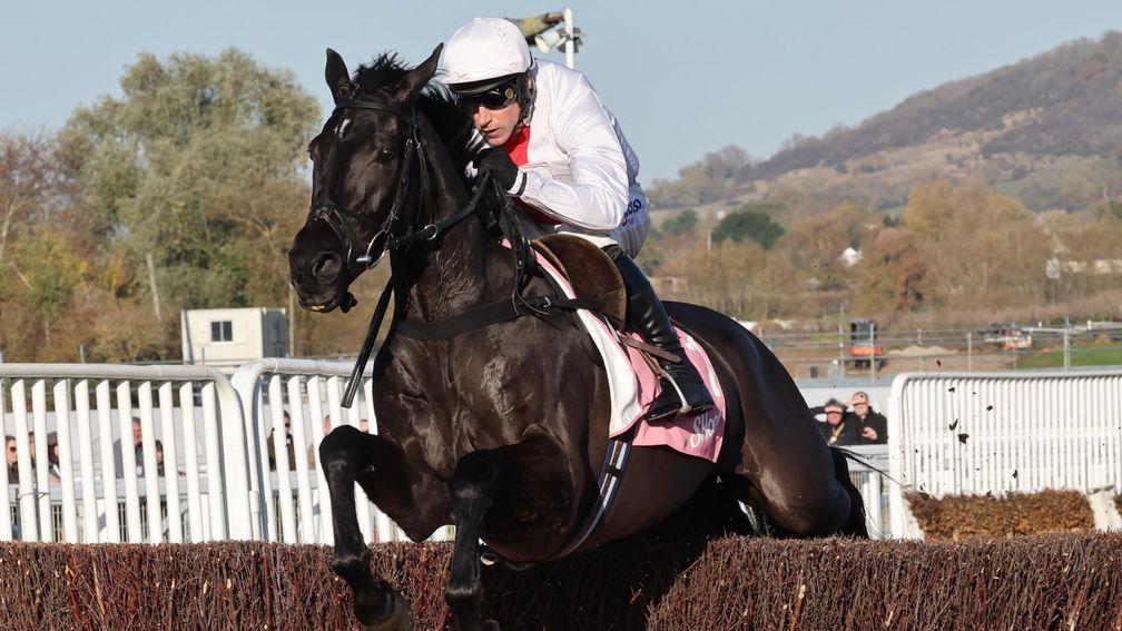 Nube Negra: set to run in the Champion Chase again
