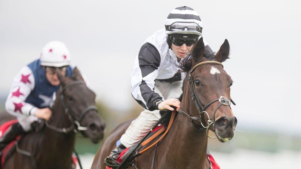 Coeur D'Amour carries the Fitzpatrick colours to success at Galway