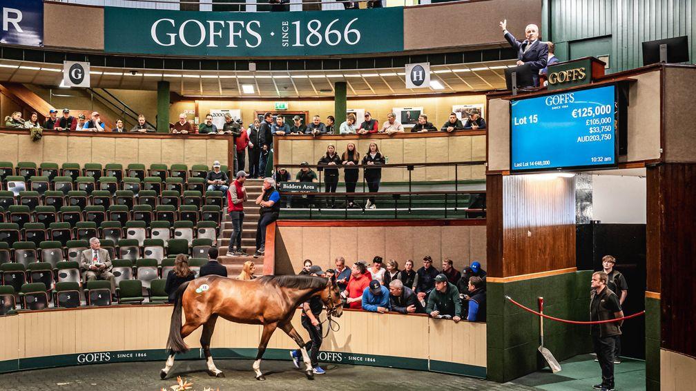 Peter Nolan's No Risk At All filly lit up the Goffs bid board