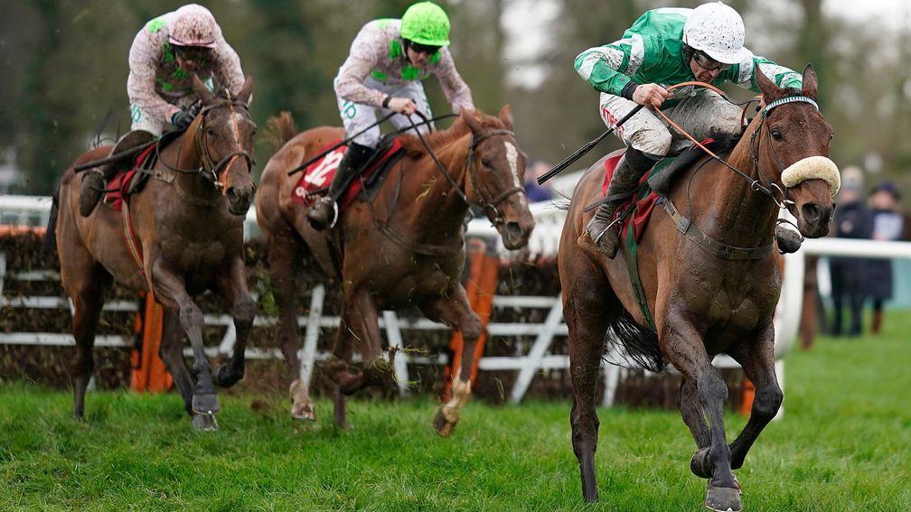 Presenting Percy: one of the stars in line to run at Gowran Park on Saturday February 16