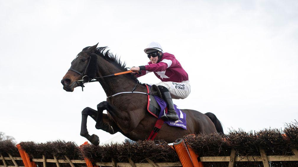 Gordon Elliott on Apple's Jade: 'I know she won well at Leopardstown but I still don't think she's the same mare we saw this time last year.'