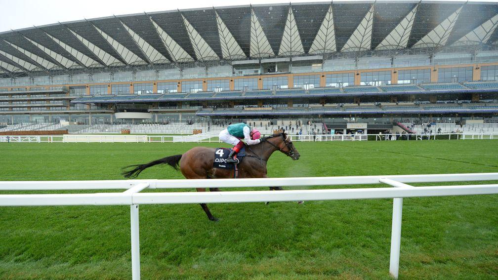 Enable: last seen winning the King George at Ascot