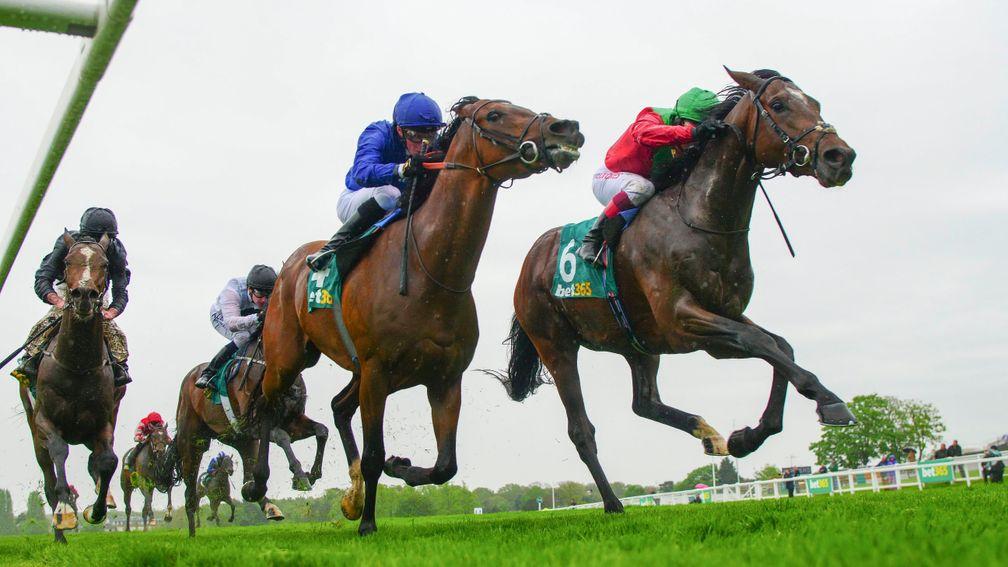 Ispolini (left): will be ridden by Brett Doyle in the Dubai Gold Cup