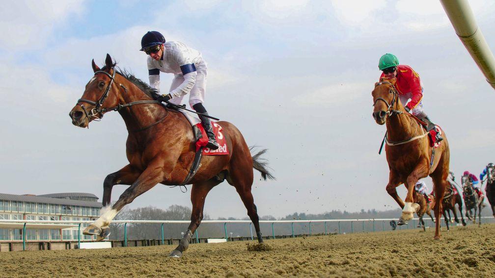 Headway: looks a live 2,000 Guineas contender