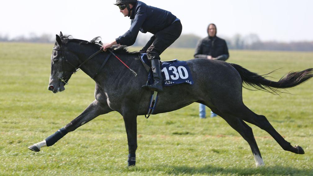 Tattersalls Craven Breeze Up Sale entries are now online