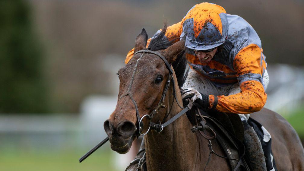 Hard To Forget (Dave Crosse) win the 3m 1.5f handicap chasePlumpton 16.12.19 Pic: Edward Whitaker