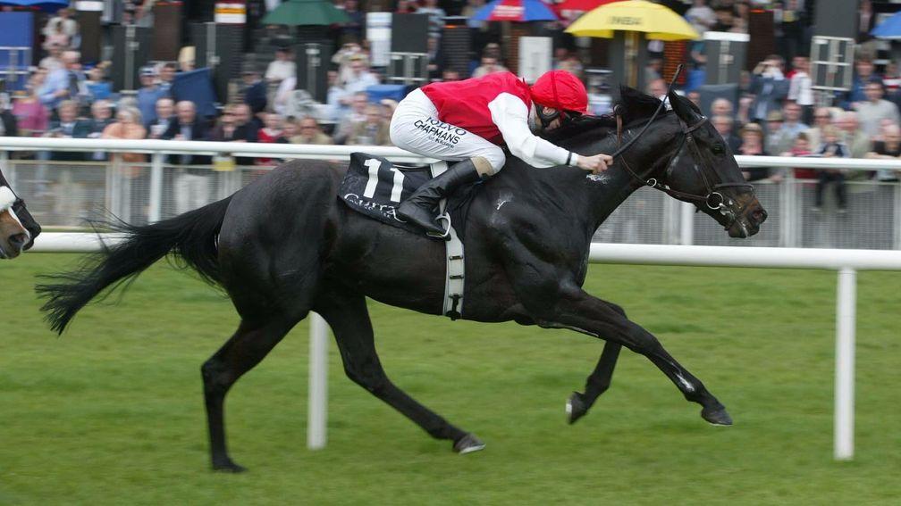 Grecian Dancer: in foal to Galileo she bolted up in a Group 3 at the Curragh in 2008