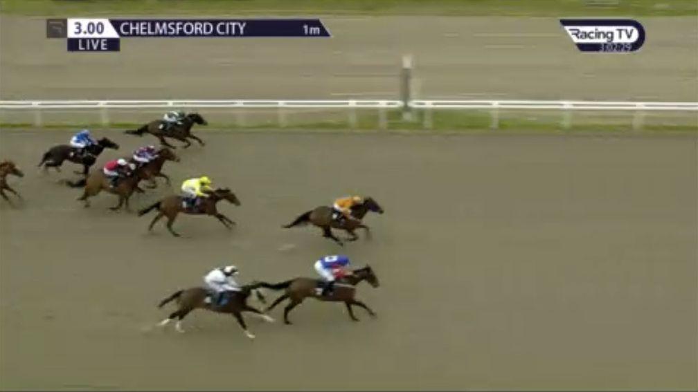 Crazy Spin and Anniemation approach the finishing line at Chelmsford