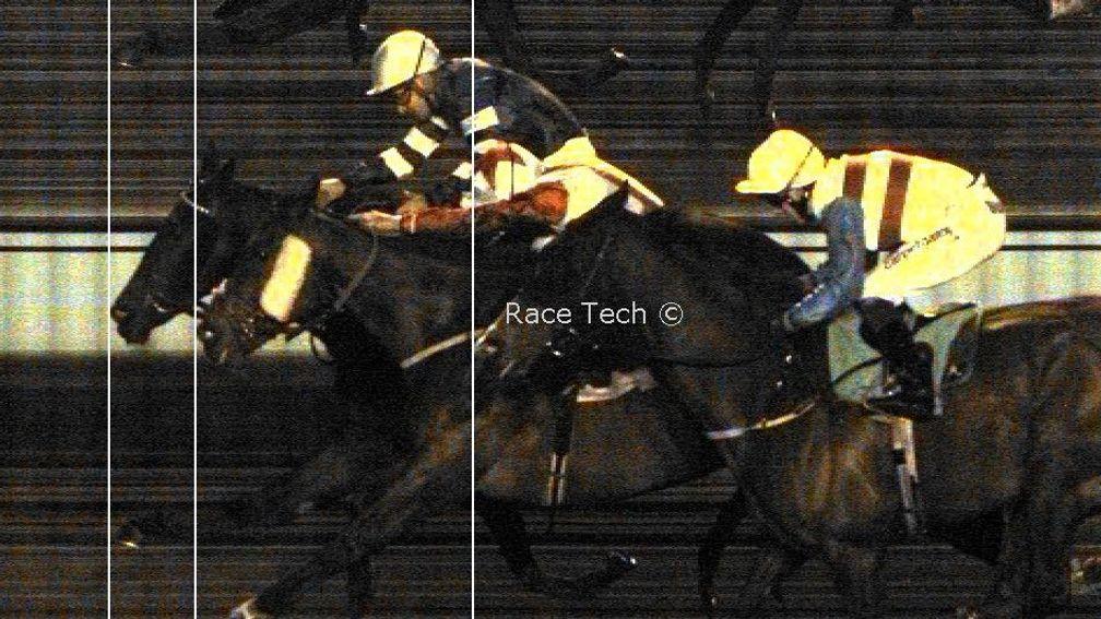 Bird For Life (far side) gets the verdict in a photo-finish at Kempton