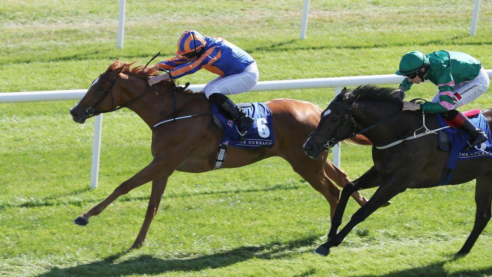 Peach Tree: second in a Group 3 at the Curragh last time out