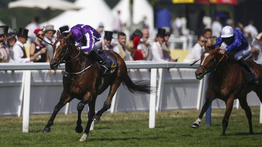 ASCOT, ENGLAND - JUNE 21:  Ryan Moore riding Highland Reel (L, purple) win The Prince of Wales's Stakes on day 2 of Royal Ascot at Ascot Racecourse on June 21, 2017 in Ascot, England. (Photo by Alan Crowhurst/Getty Images for Ascot Racecourse)