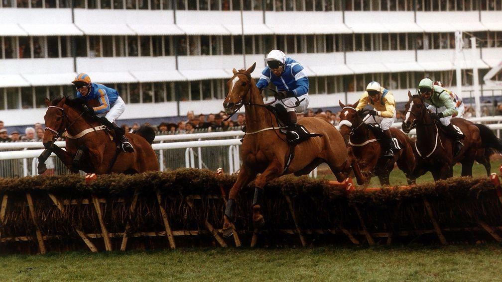 Royal Derbi (left) jumps the last behind Granville Again in the 1993 Champion Hurdle