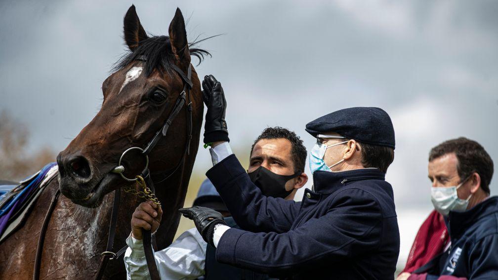 Aidan O'Brien tends to Bolshoi Ballet after his scintillating victory in the Derrinstown Stud Derby Trial at Leopardstown