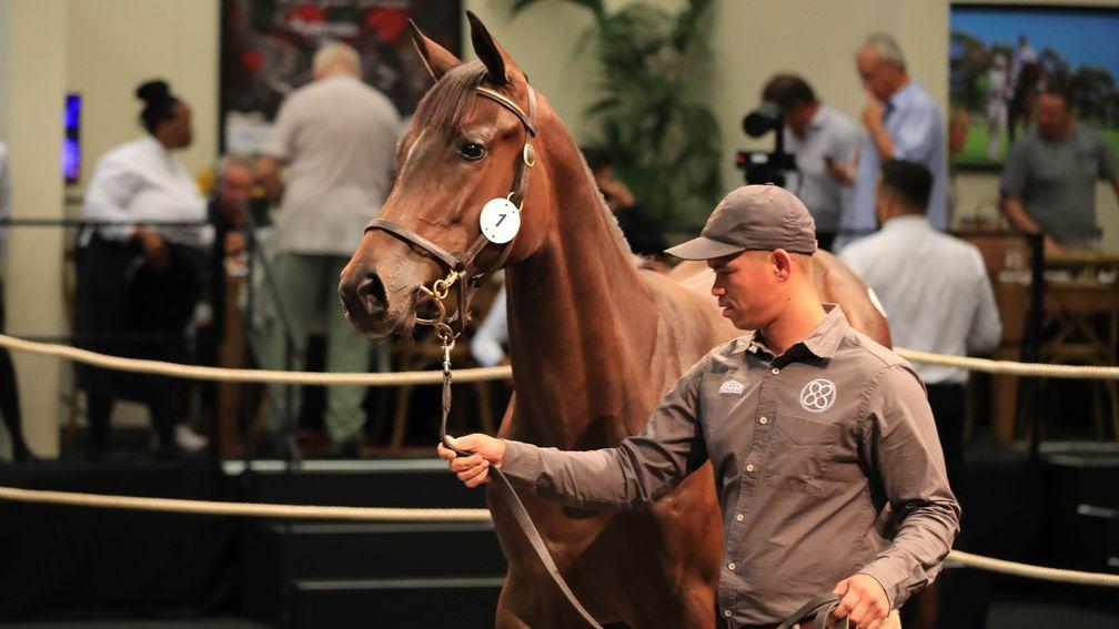 The first horse into the ring, a filly by Trippi, also passed the seven-figure mark