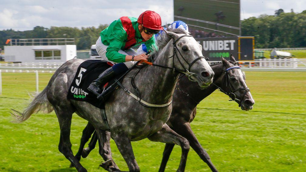 Technician: the Group 3 winner is still on course for the St Leger