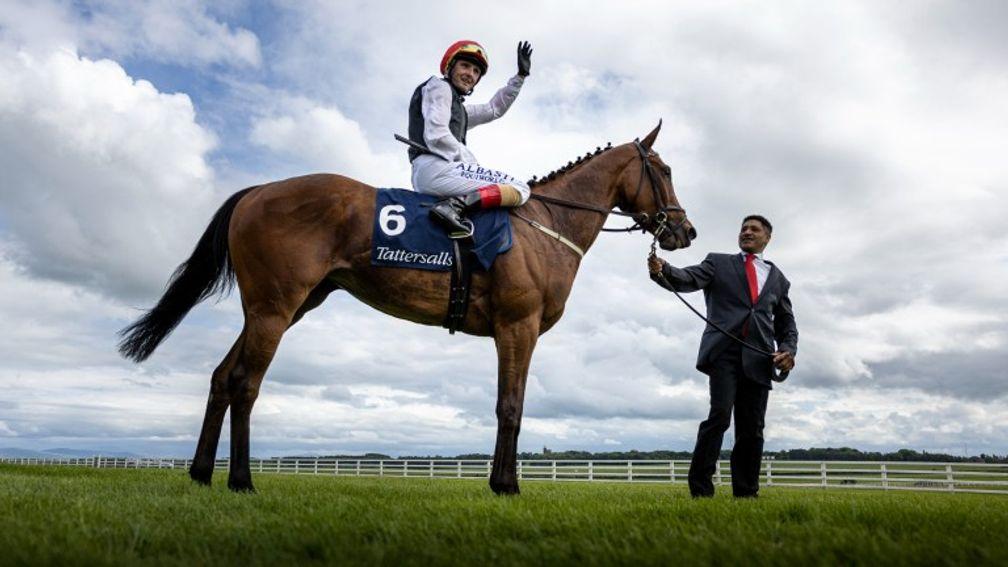 Irish 1,000 Guineas heroine Homeless Songs is an exciting recruit to Moyglare's broodmare band