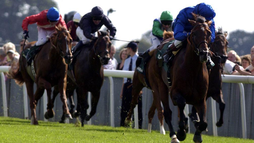 Frankie Dettori can afford a peek behind him on the Saeed Bin Suroor-trained Sakhee in the 2001 Juddmonte International
