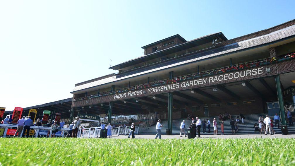 Ripon: only 35 runners for its seven-race card on Saturday