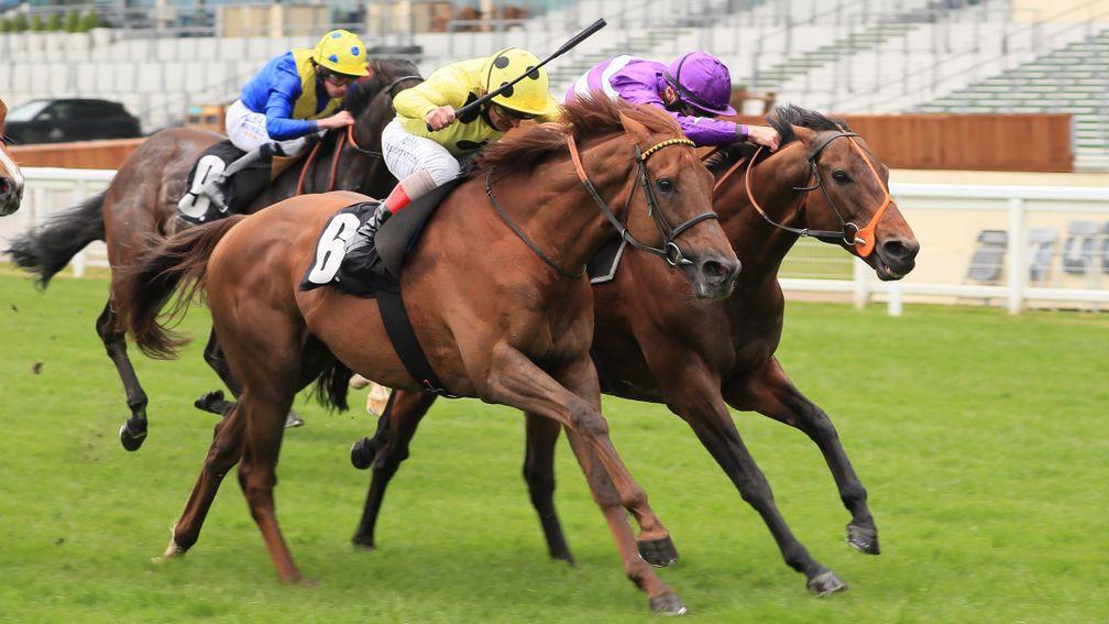 Oh This Is Us (right) gets up to beat Prince Eiji at Ascot last month with Solid Stone (blue and yellow) back in fifth