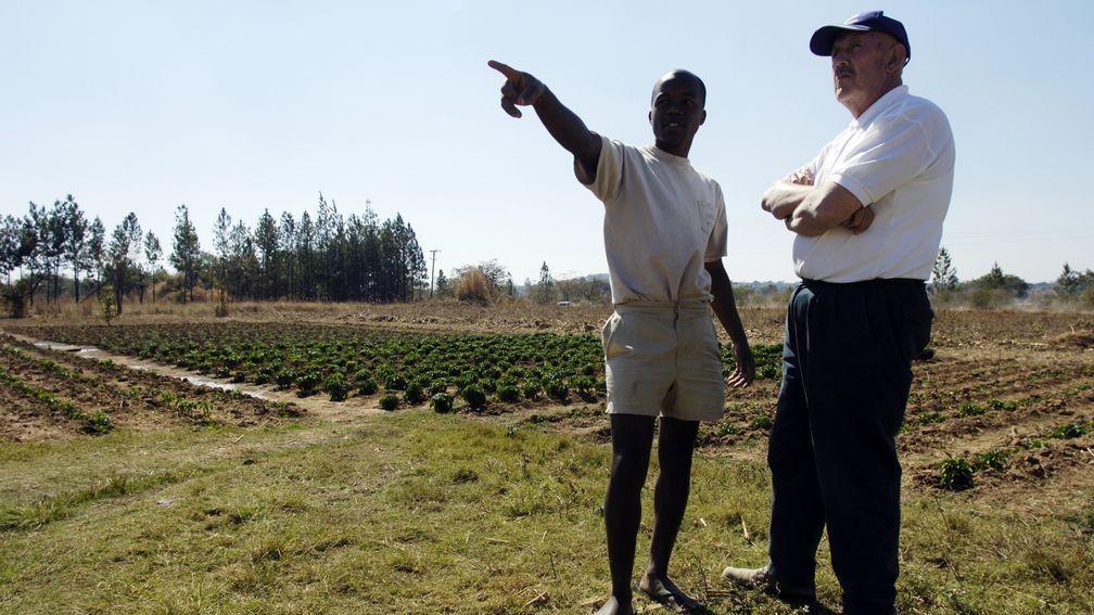 Curley surveys the fruits of his charitable labour at a DAFA-backed farm  near Ndola in 2006