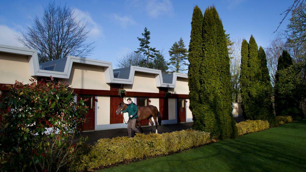 The Irish National Stud Thoroughbred Breeding Course was once again heavily over-subscribed