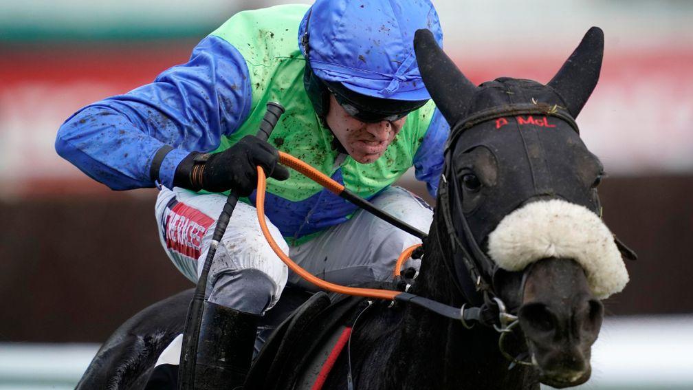 Canardier: Martin Pipe Hurdle his likely festival target