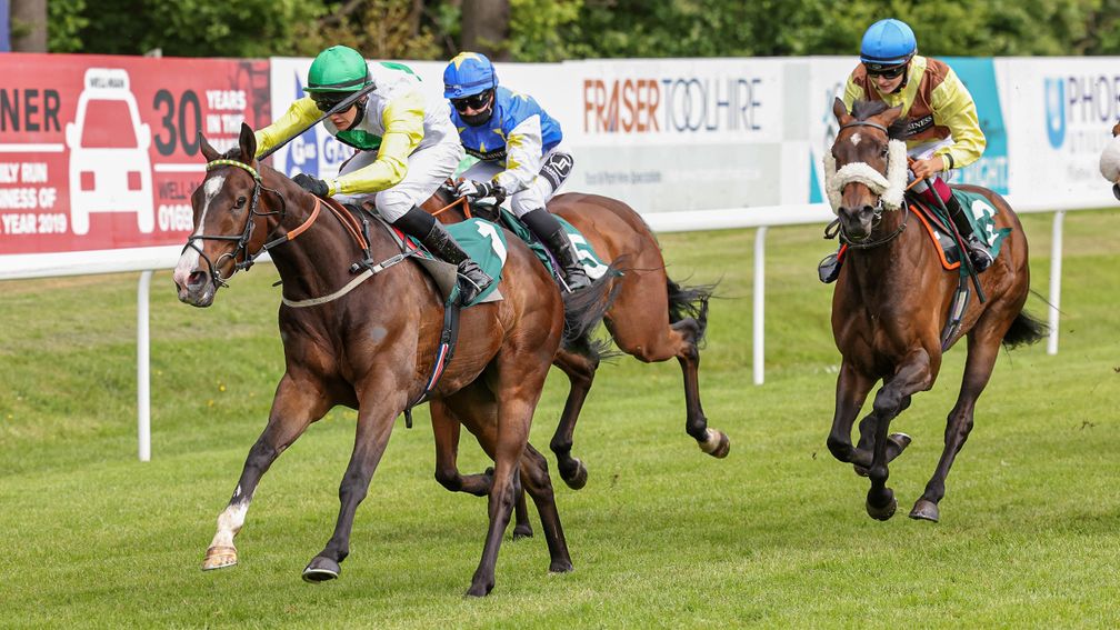 Oli Stammers partners Out Of Breath to victory at Hamilton