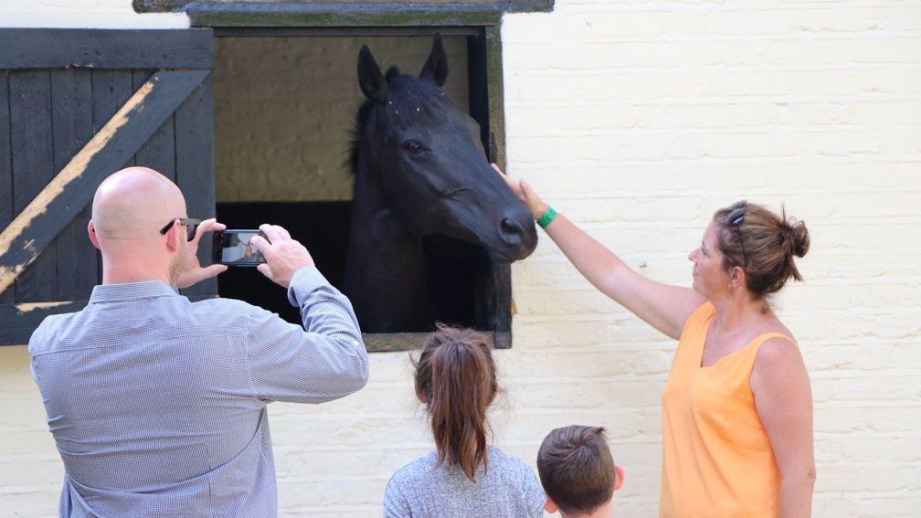 One equine star is popular at Adam West's Thirty Acre Barn yard in Epsom