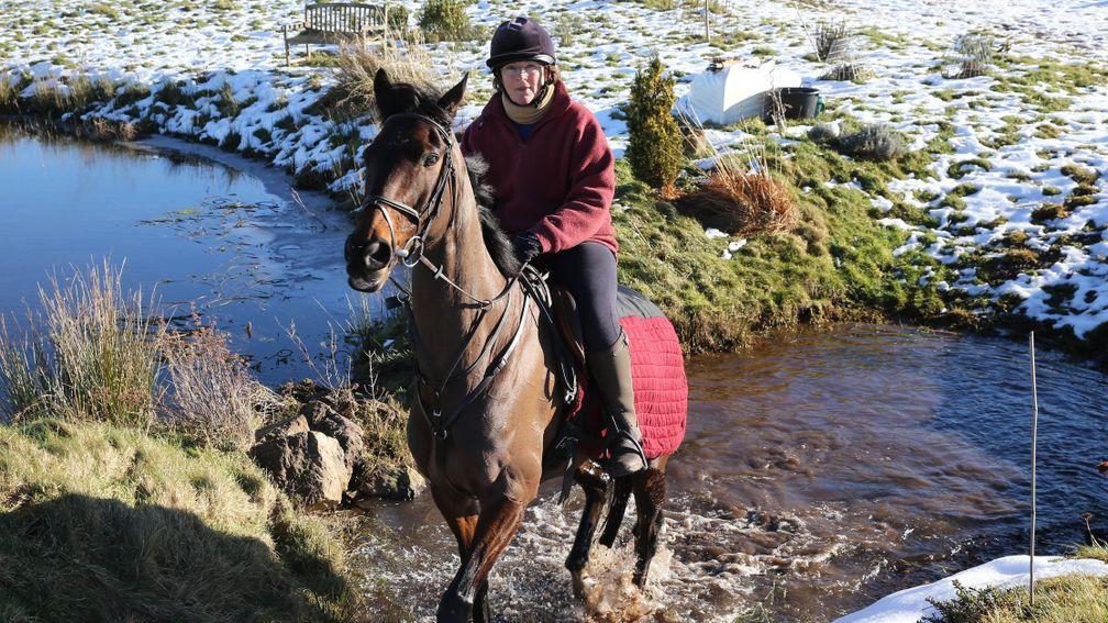 Trainer Harriet Graham riding SCOTSWELL at her Brundeanlaws Stableshigh in the Cheviot Hills 9/2/15Photograph by John Grossick 0771 046 1723
