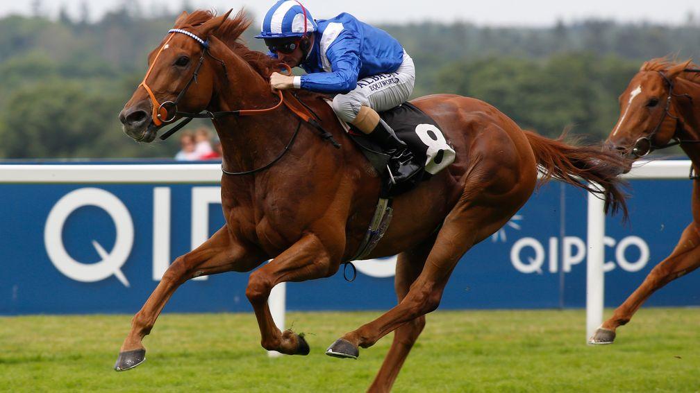Mutakayyef wins the Summer Mile Stakes - can he follow up in the Queen Anne?