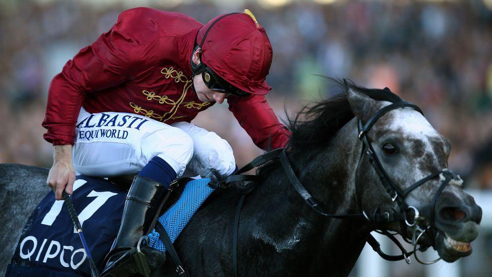 Roaring Lion: racing on dirt for the first time at Breeders' Cup