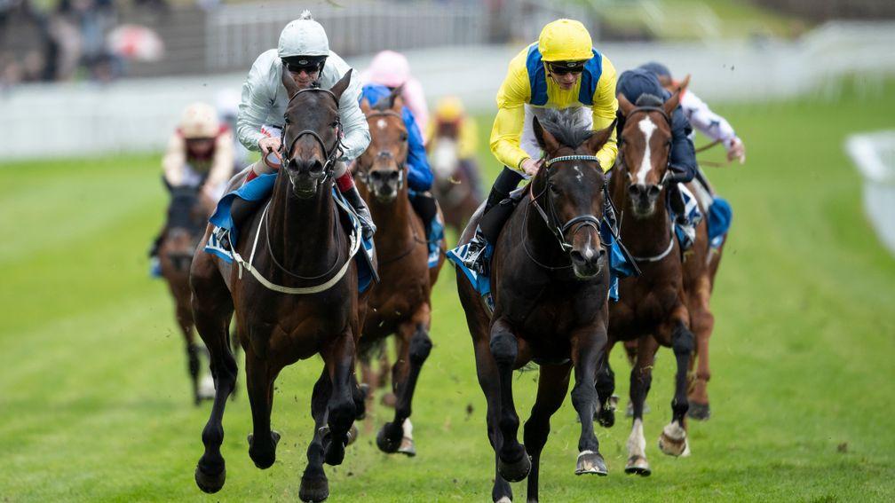 Young Rascal (right) holds off Dee Ex Bee and is now as short as 10-1 to triumph at Epsom