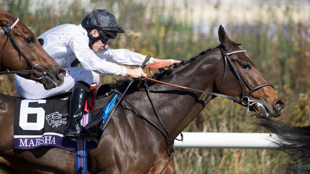 Marsha and Luke Morris in action at the Breeders' Cup