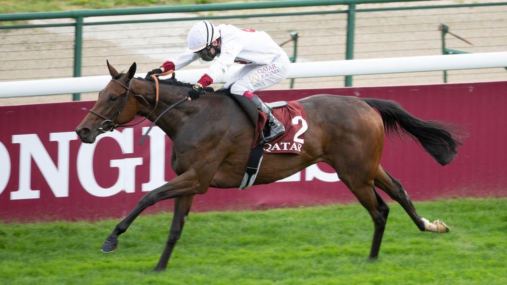 Zellie: the Marcel Boussac winner could make a splash in the Qipco 1,000 Guineas for Andre Fabre