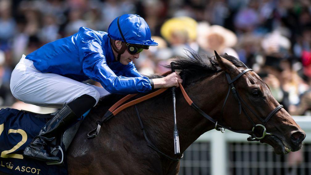 Pinatubo: Godolphin homebred was an easy winner of the Chesham Stakes
