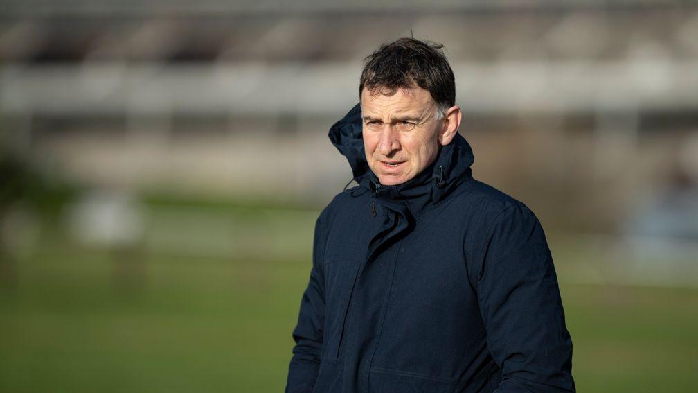 Henry de Bromhead: up and running for the week at Galway after Annie G landed the novice hurdle