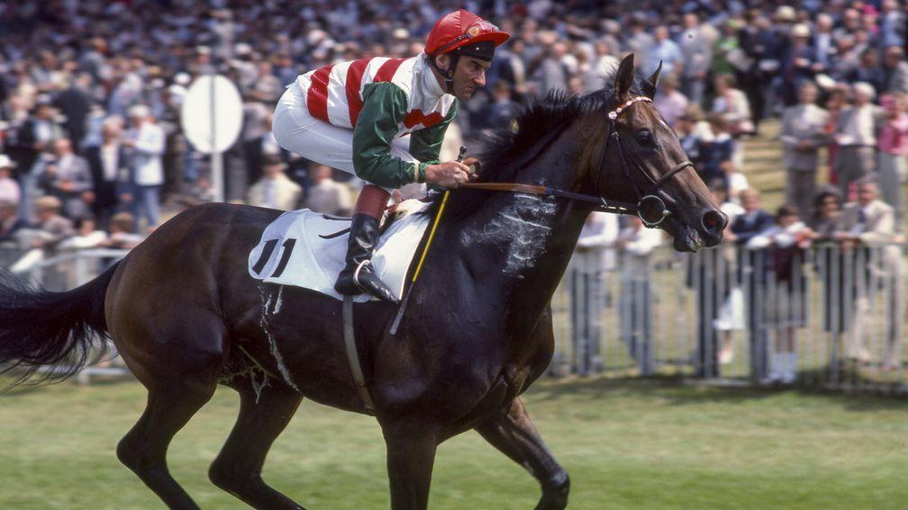 Tolomeo: winner of the Arlington Million in 1983