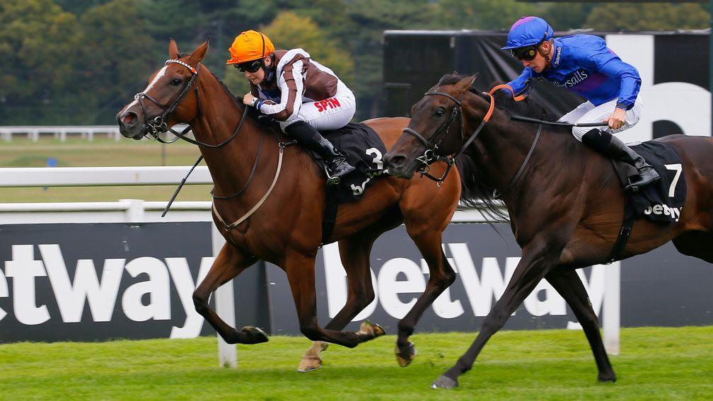 Migration (right): bids to build on his promising reappearance at Salisbury