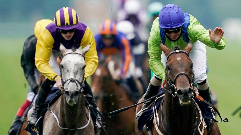 The impressive Subjectivist (right) leads home the field in the Ascot Gold Cup on Thursday