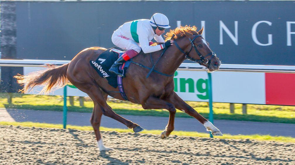 Wissahickon: class performer set to star at Lingfield on Friday