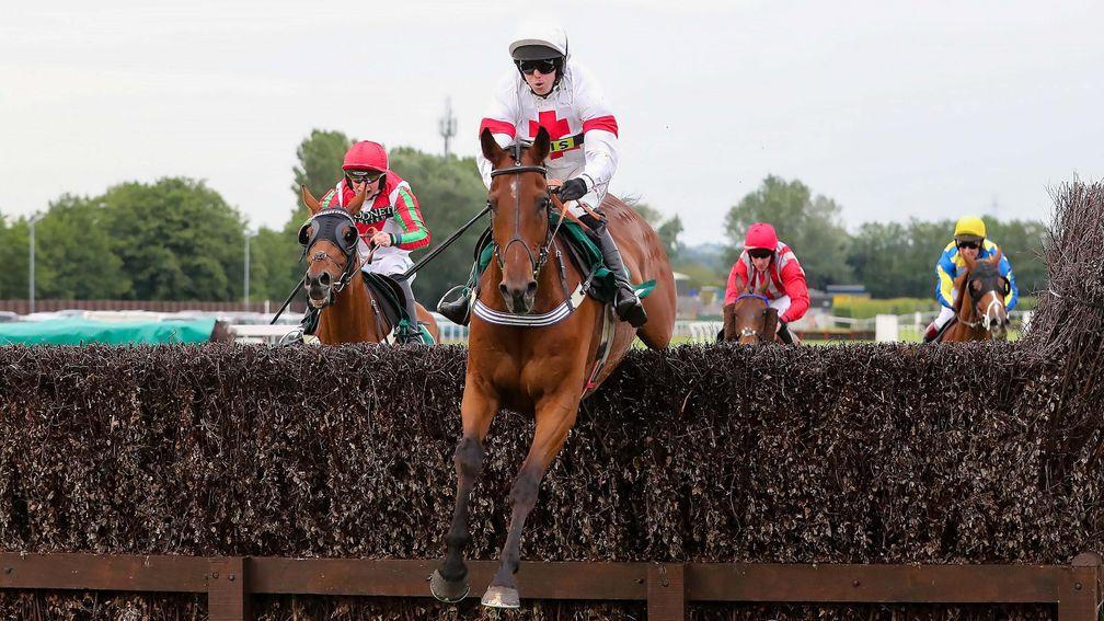 MINELLACELEBRATION and Ben Poste wins at Aintree 14/6/19Photograph by Grossick Racing Photography 0771 046 1723