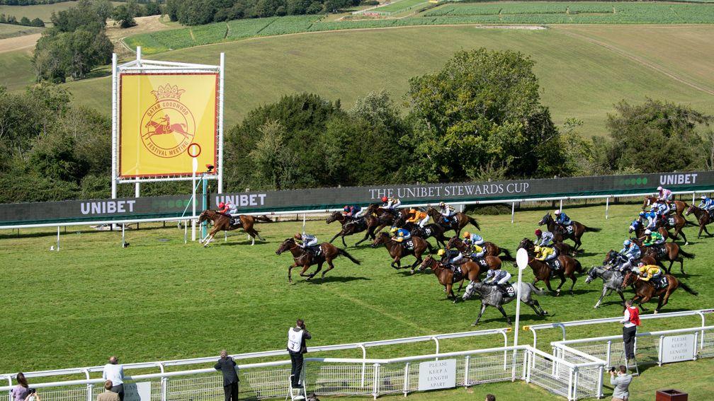 Summerghand: won the Stewards' Cup on what was supposed to be the day 5,000 spectators were allowed back into Goodwood racecourse