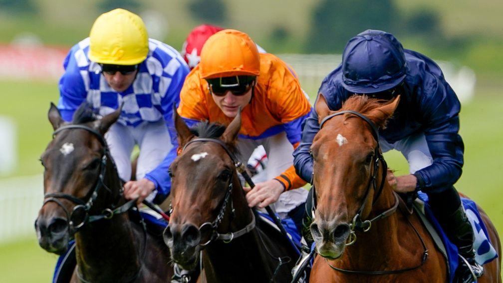 Statuette (right): impressive Ballydoyle filly is the early favourite for next year's 1,000 Guineas