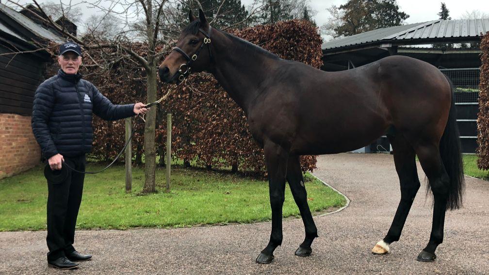 Ron Lott with Muhaarar at Beech House Stud