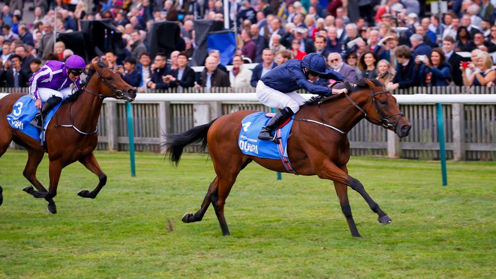 Rhododendron: Guineas runner-up is a short-priced favourite for the Oaks