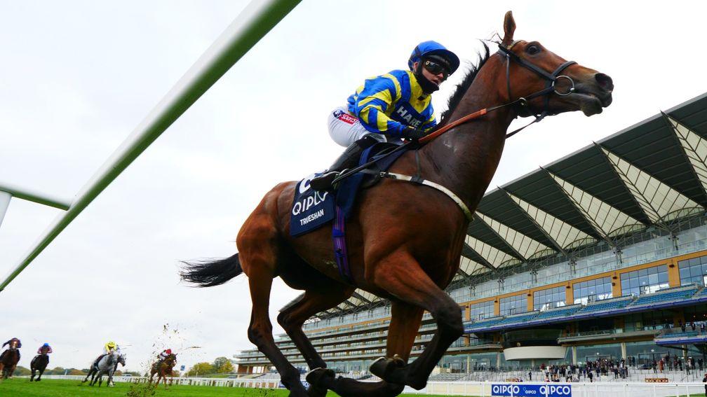 Trueshan: makes his first start of the season at Chester