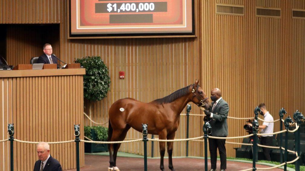 Betz Thoroughbreds' American Pharoah half-sister to recent Spinaway Stakes winner Echo Zulu sells to Northshore Bloodstock for $1.4 million