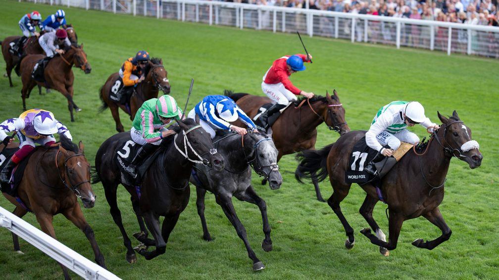 Sandrine (11) and Sacred (red): market leaders for the Sky Bet City Of York Stakes