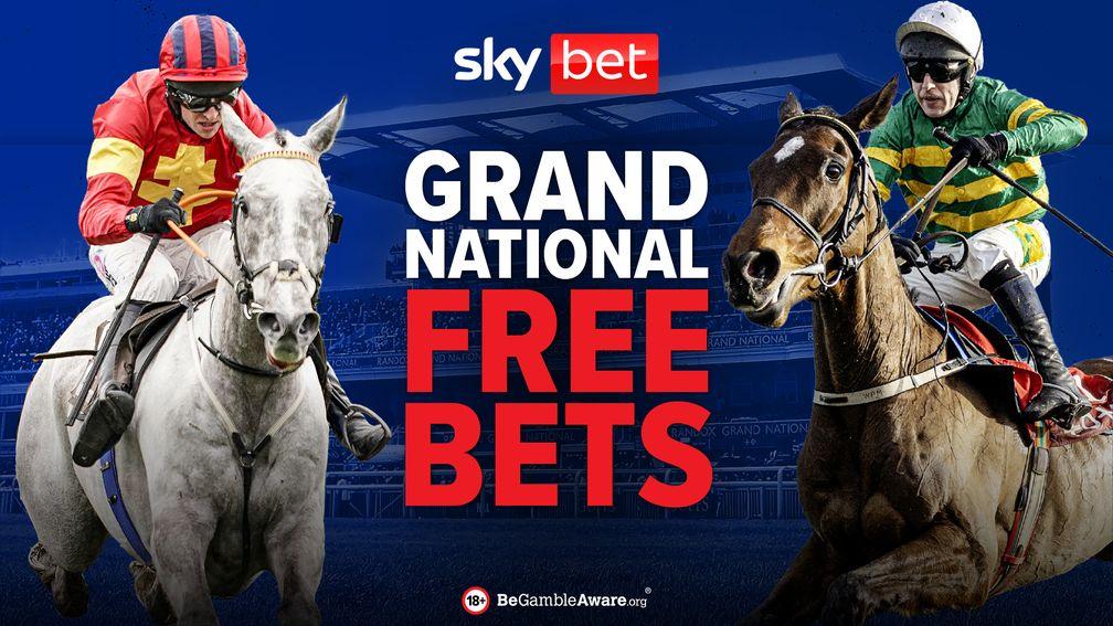Grand National Free Bets with Sky Bet
